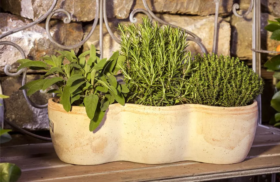 Mit Urban Gardening vom Balkon zur Kräuter-Oase