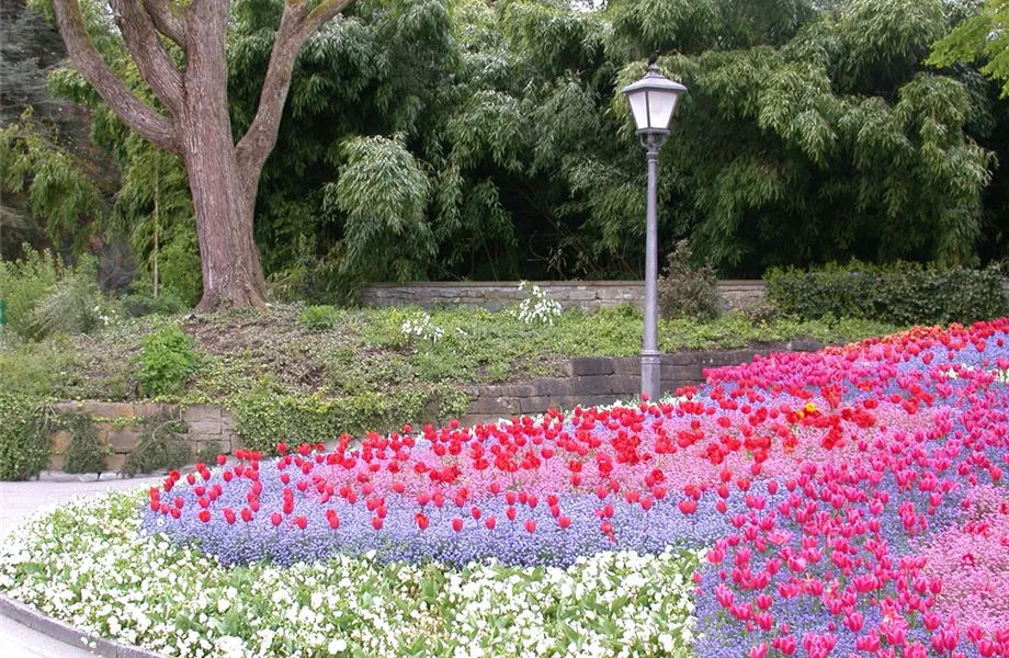 Das richtige Blumenbeet für den eigenen Garten