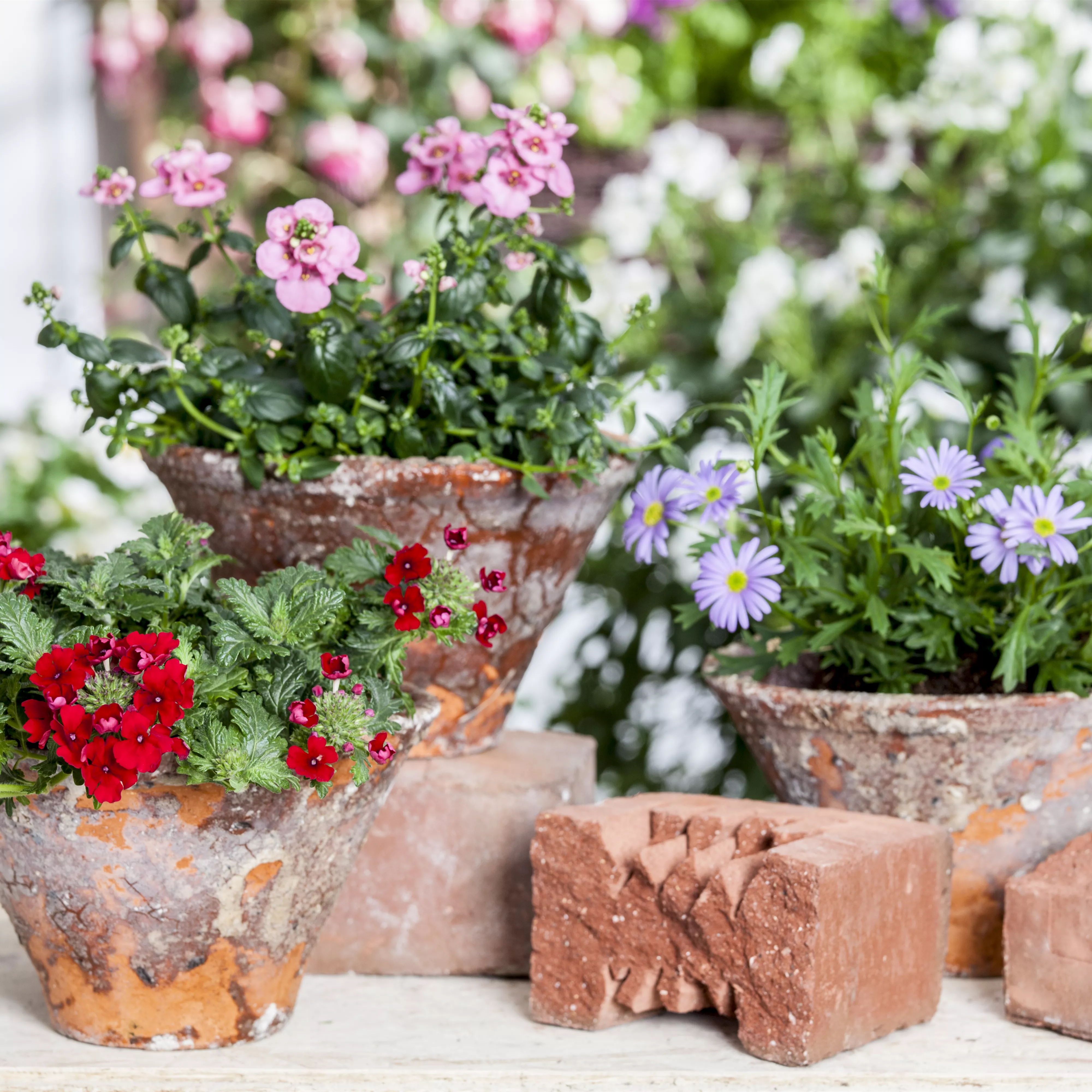 Der ganz große Stil im Garten - eine Anleitung für Menschen mit Liebe zu Effekten