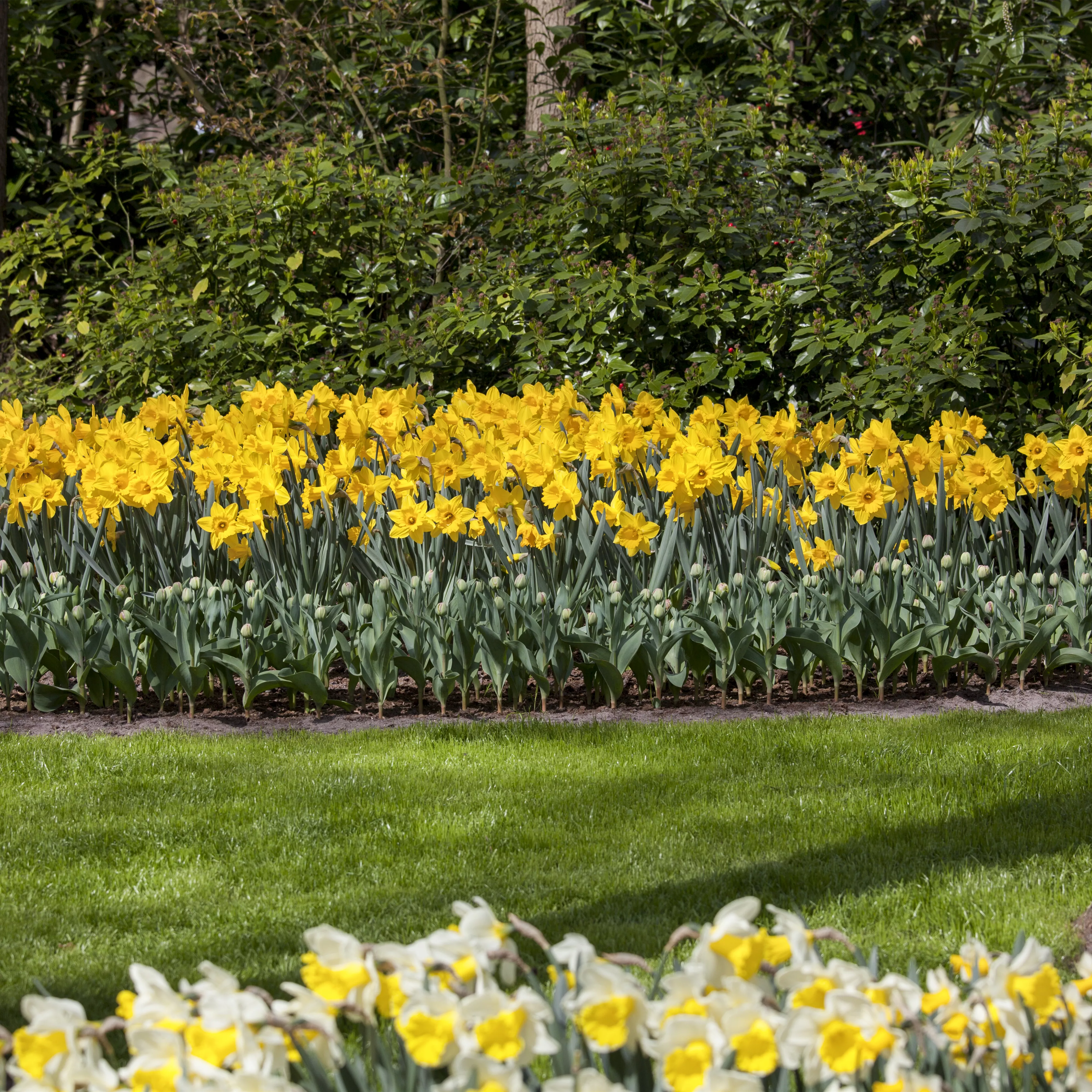 Das richtige Blumenbeet für den eigenen Garten