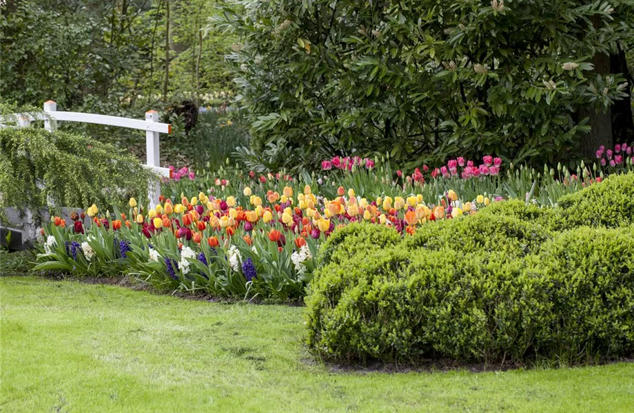 Das richtige Blumenbeet: eine Frage des Geschmacks