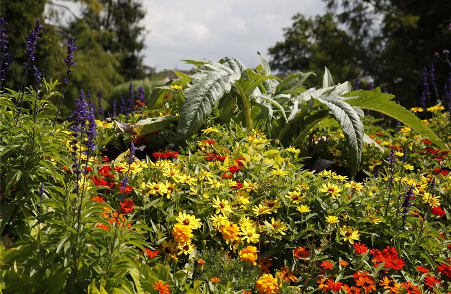 Pflegeleichter Garten: Wohlfühloase trotz wenig Zeit