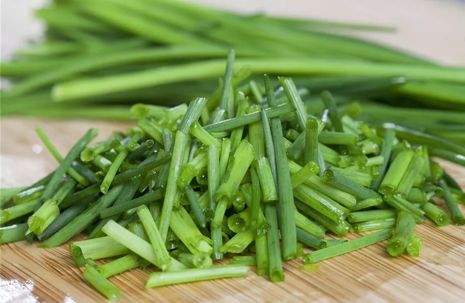 Kochen mit Kräutern aus dem Garten