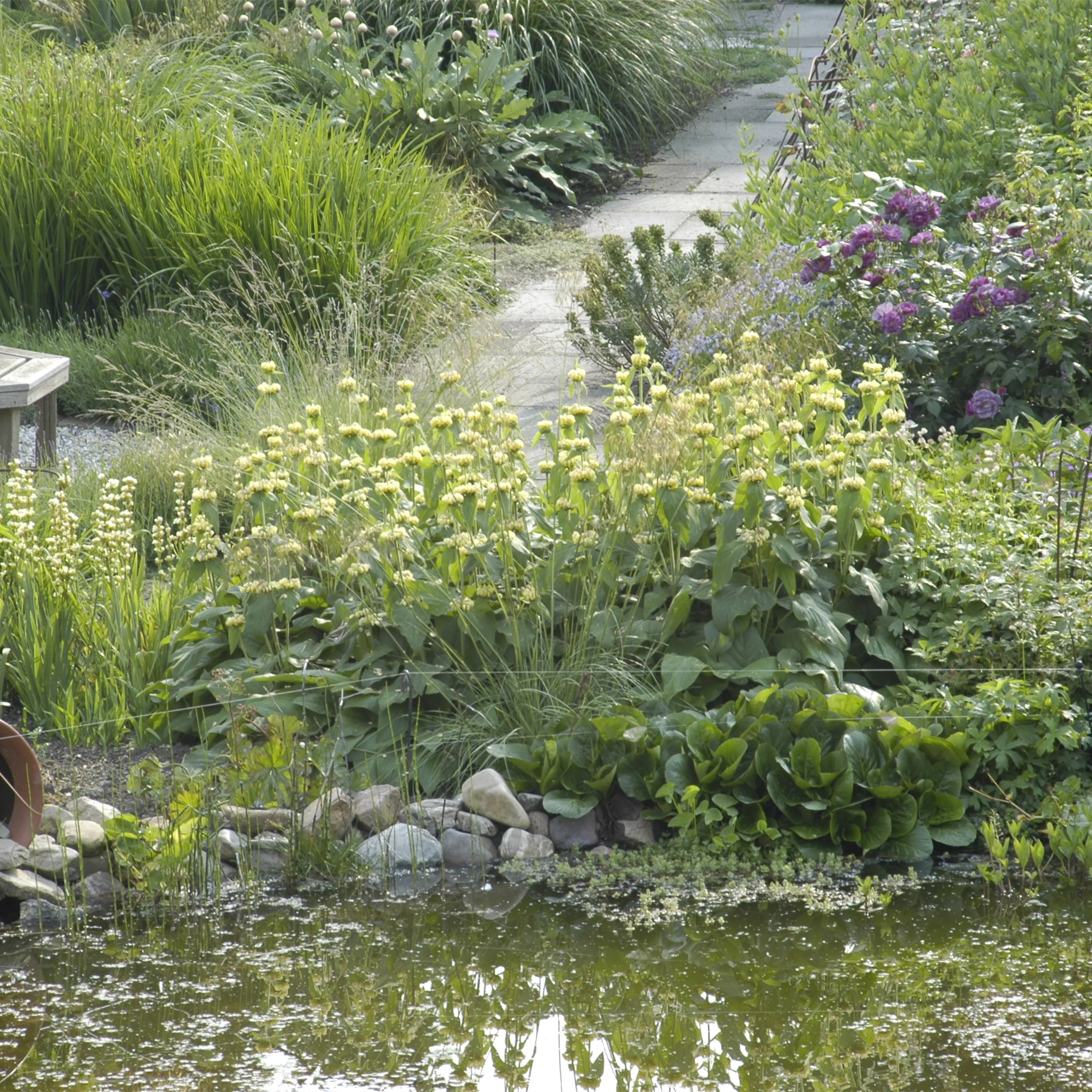 Der Naturgarten - Ausgleich zum Arbeitsalltag