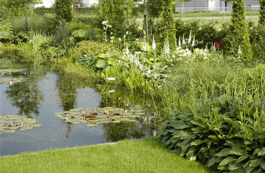 Der Naturgarten - Ausgleich zum Arbeitsalltag