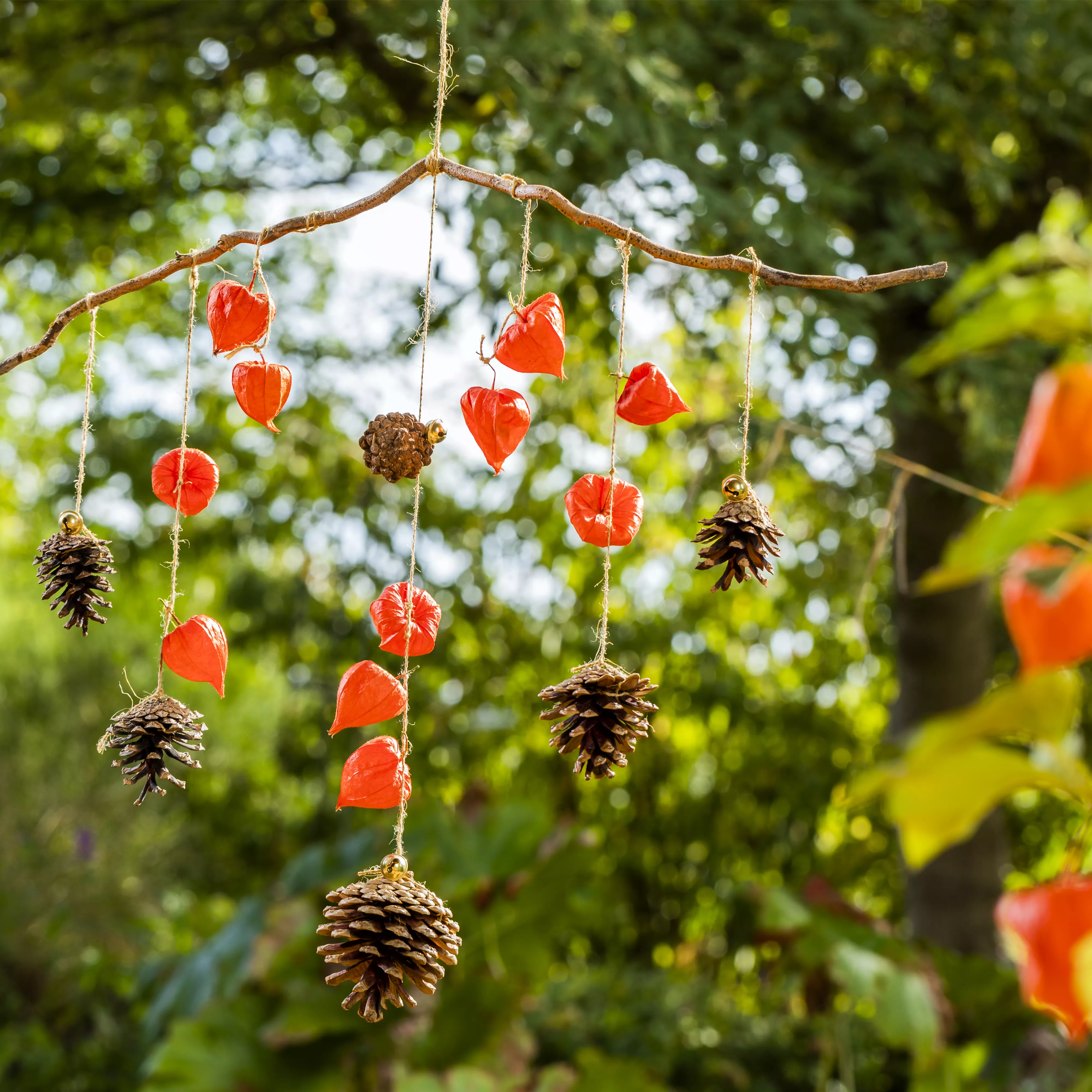 Ein herbstliches Windspiel aus Physalis und Tannenzapfen