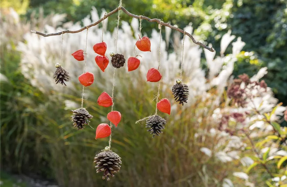 Ein herbstliches Windspiel aus Physalis und Tannenzapfen