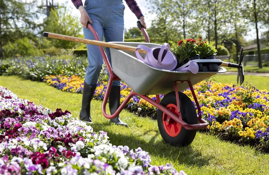 Der Gartenboden – jeder braucht mal Unterstützung