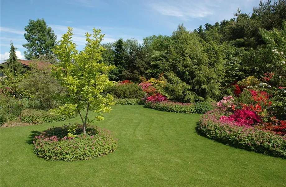 Bäume pflanzen – so wird der Garten groß