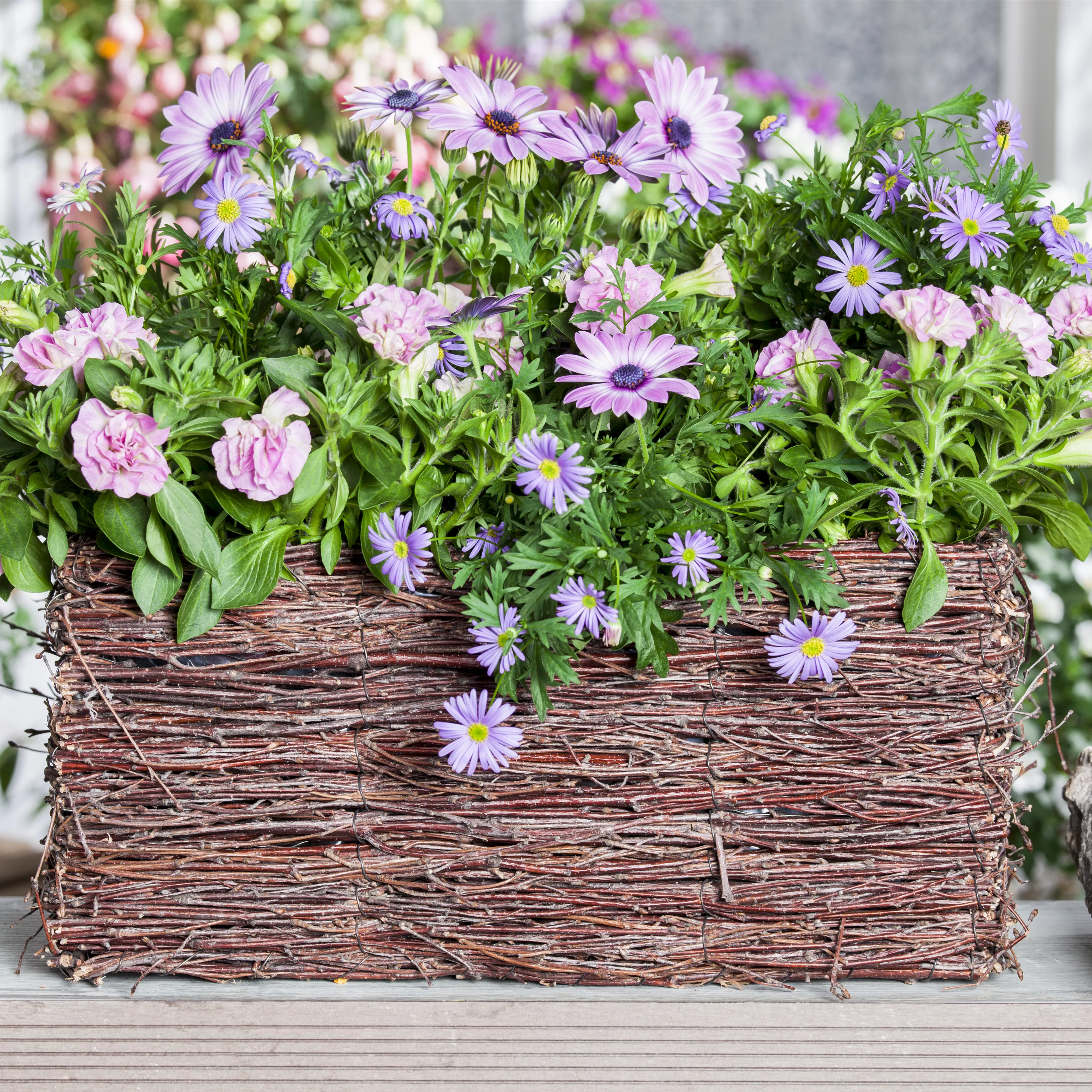 Frühling, Sommer, Herbst, Winter: der Balkon ist immer ein schöner Anblick