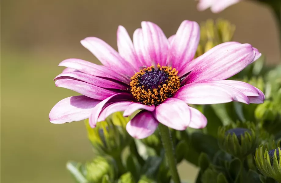 Upcycling mit Milchtüten – aus alt mach neu!