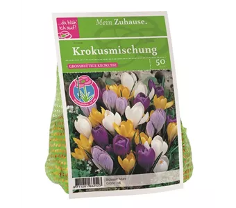 Blumenzwiebel Krokus Mischung