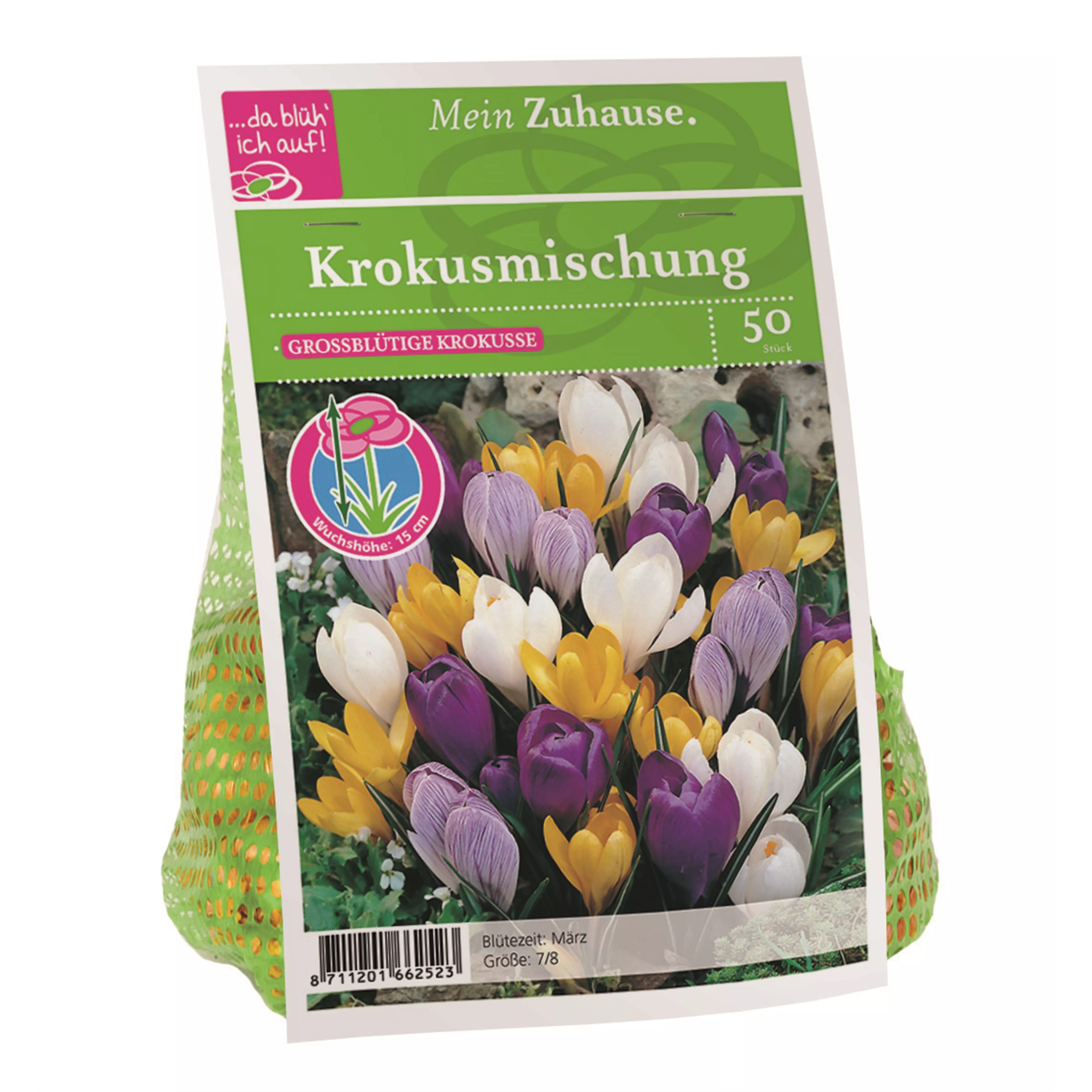 Blumenzwiebel Krokus Mischung