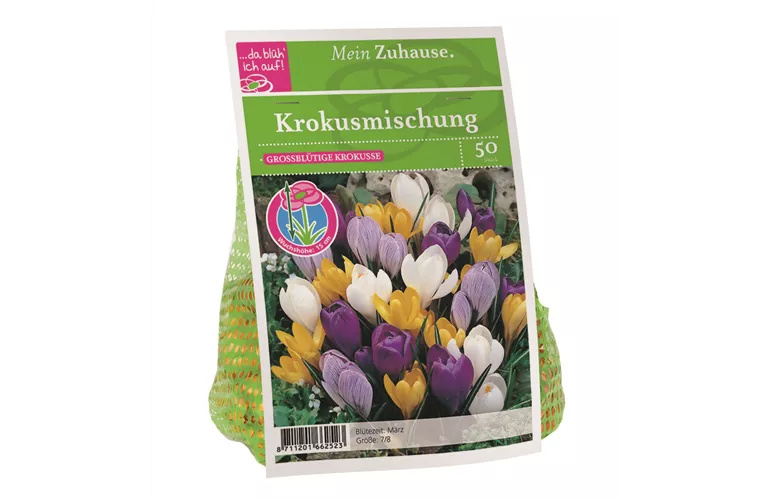 Blumenzwiebel Krokus Mischung