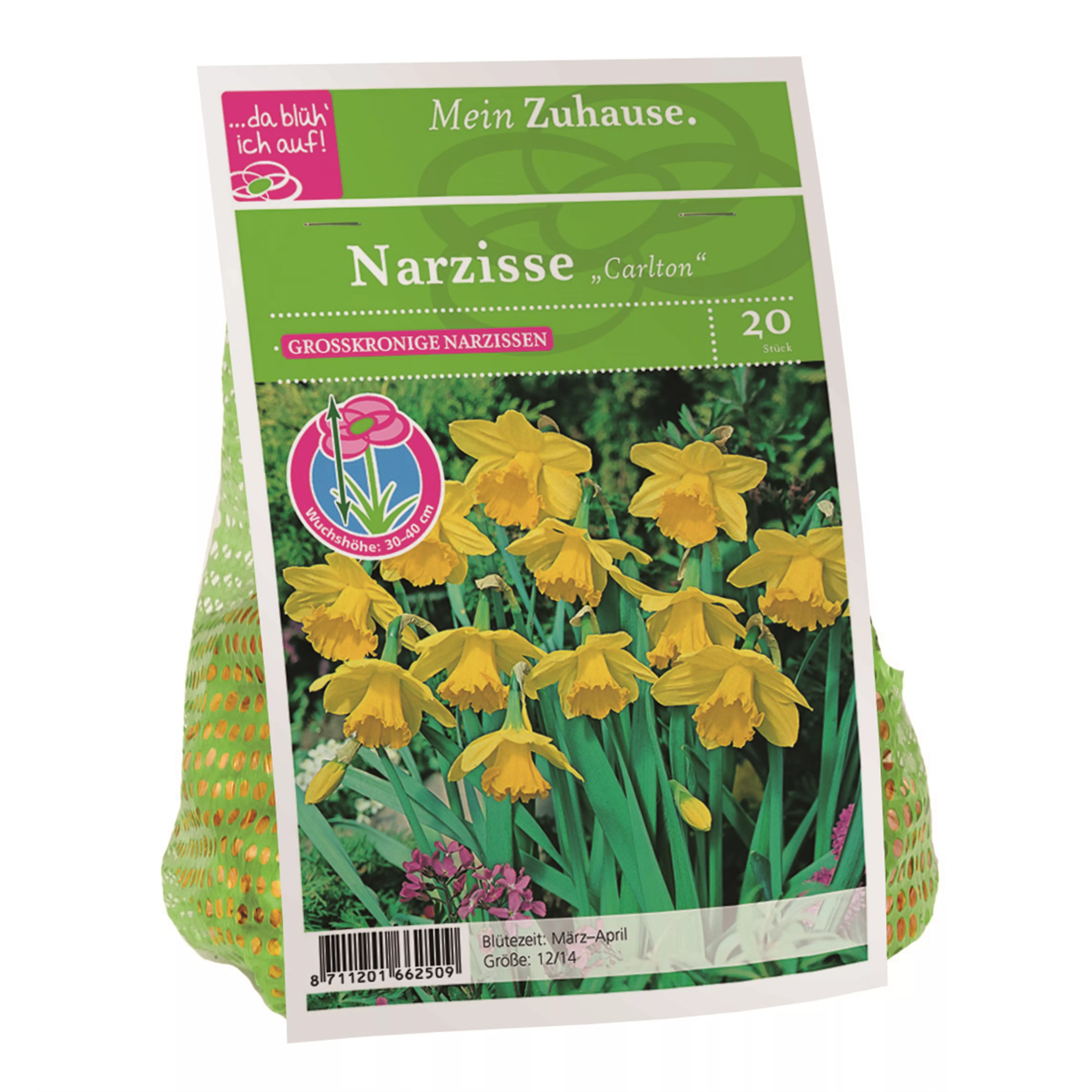 Blumenzwiebel Narzisse 'Carlton'