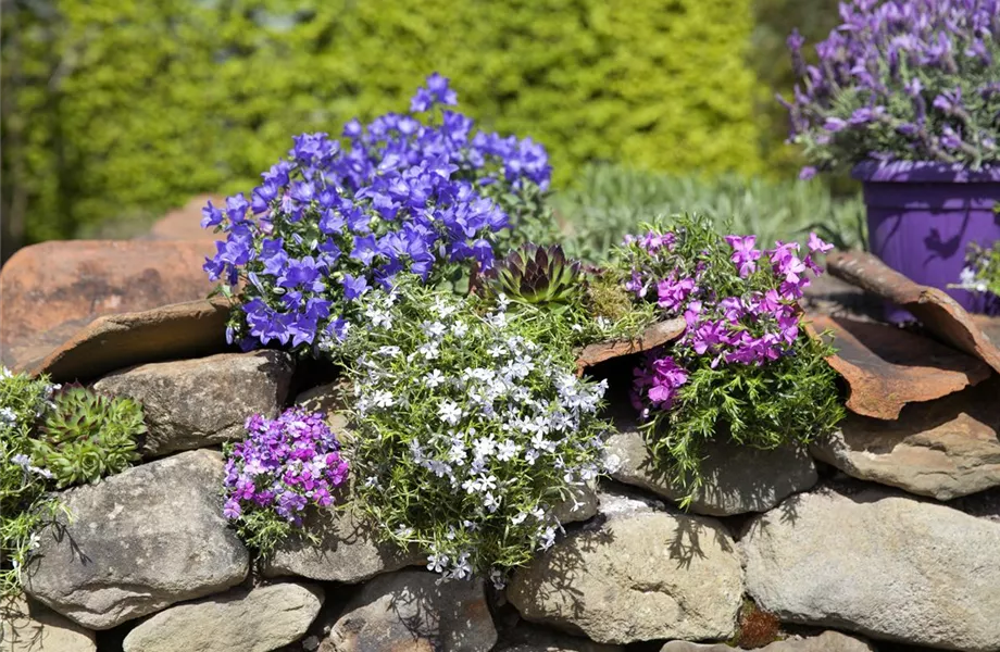 Blackbox-Gardening – die kreative Idee mit den großen Überraschungseffekten